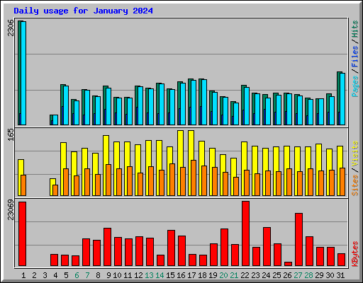 Daily usage for January 2024