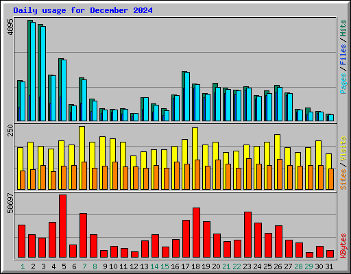 Daily usage for December 2024