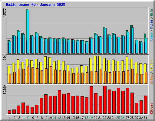 Daily usage for January 2025