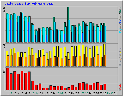 Daily usage for February 2025