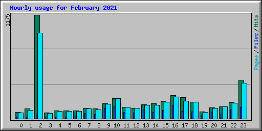 Hourly usage for February 2021