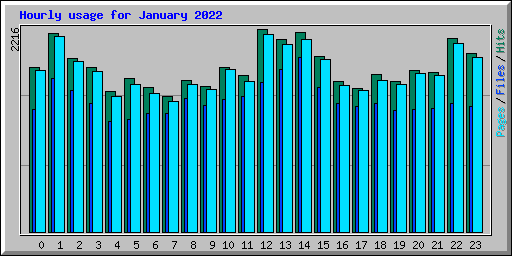 Hourly usage for January 2022