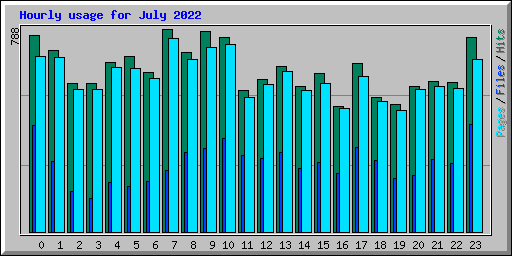 Hourly usage for July 2022