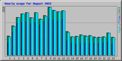 Hourly usage for August 2022