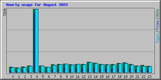 Hourly usage for August 2023