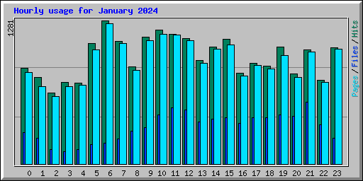 Hourly usage for January 2024