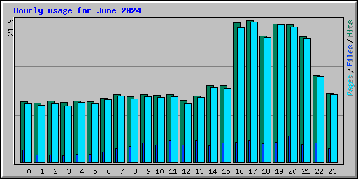 Hourly usage for June 2024