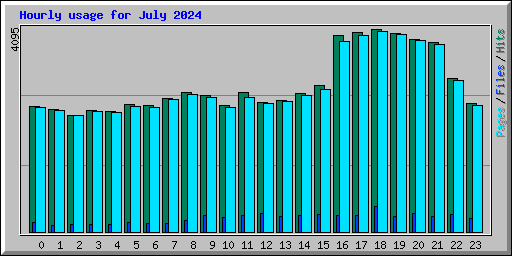 Hourly usage for July 2024