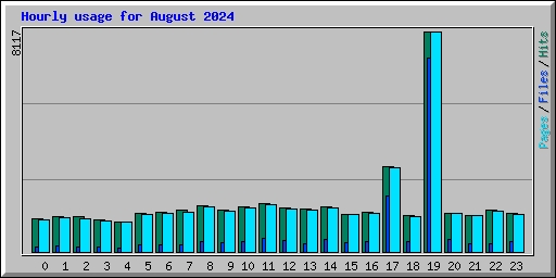 Hourly usage for August 2024