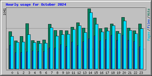 Hourly usage for October 2024