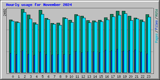 Hourly usage for November 2024