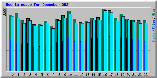 Hourly usage for December 2024