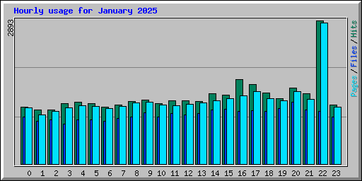 Hourly usage for January 2025