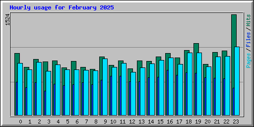 Hourly usage for February 2025